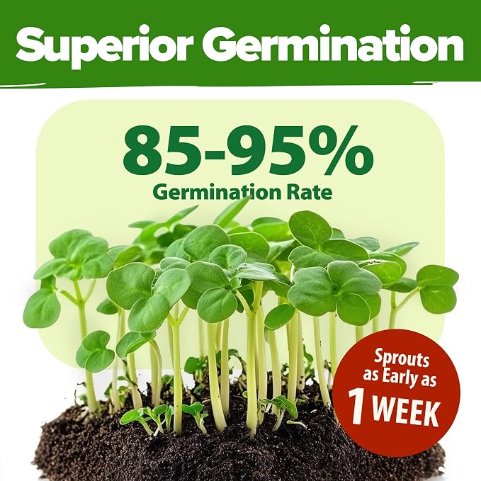 HOME GROWN 70 Variety Vegetable & Herb Seeds 32, 000+ USA Non-GMO Heirloom - Image 5