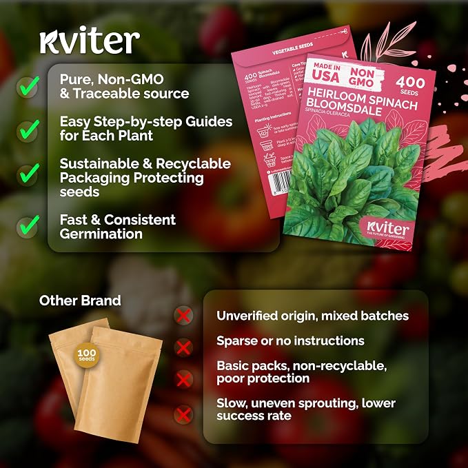 KVITER 400 Bloomsdale Spinach Seeds — Non-GMO & Heirloom, Heat Tolerant - Image 5