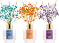 Airkeep Reed Diffuser Set of 3, Ocean Breeze Sweet Orange Cashmere Vanilla Oil by Airkeep