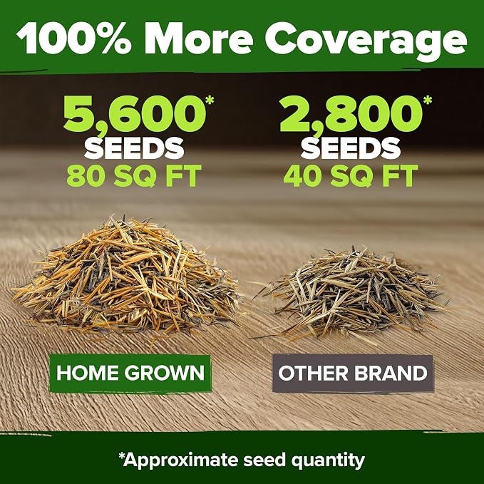 HOME GROWN Marigold Seeds Bulk Mix - Image 3