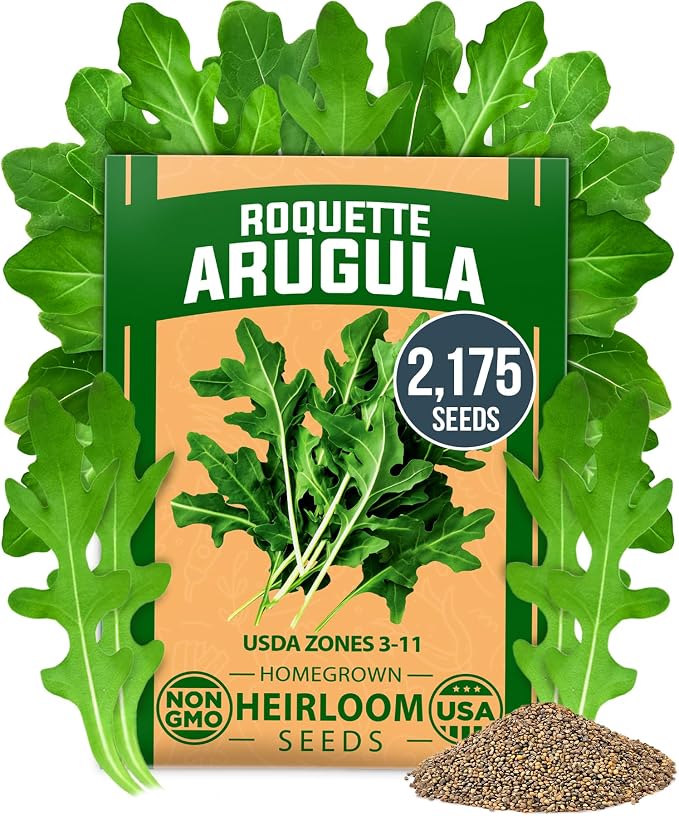 HOME GROWN Arugula Roquette Seeds 2, 175+ Heirloom Non-GMO Seeds by HOMEGROWN