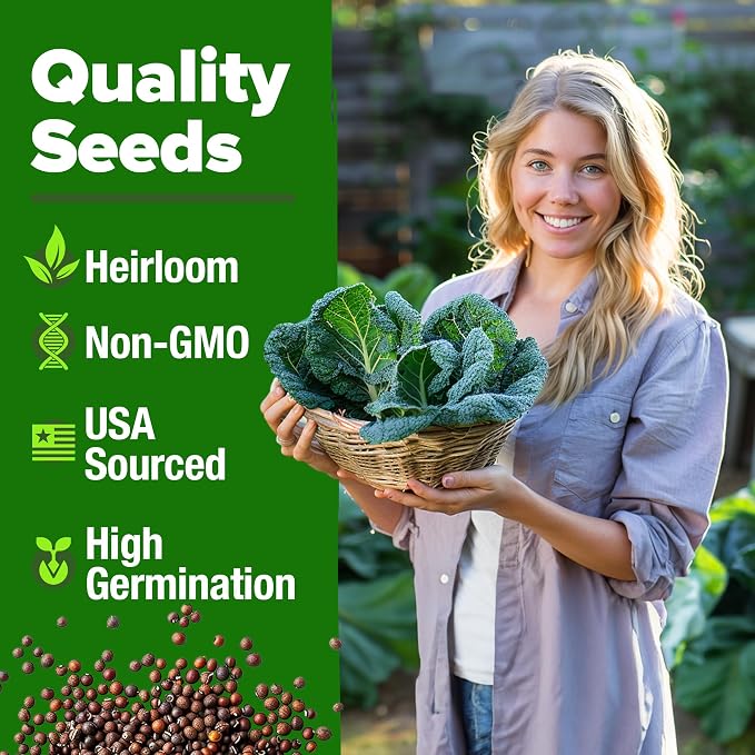 HOME GROWN Georgia Southern Collard Green Seeds 600+ Heirloom Non-GMO Seeds - Image 3