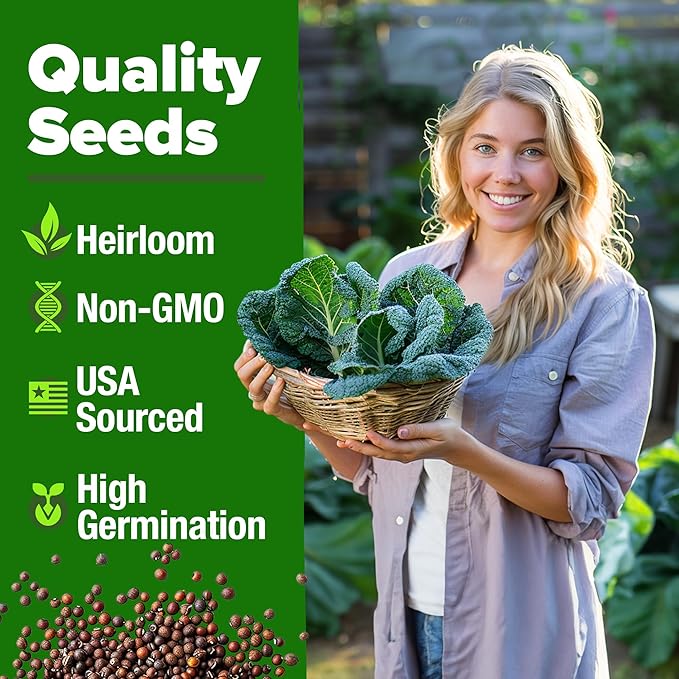 HOME GROWN Collard Greens Georgia Southern 300+ Heirloom Non GMO Seeds - Image 3
