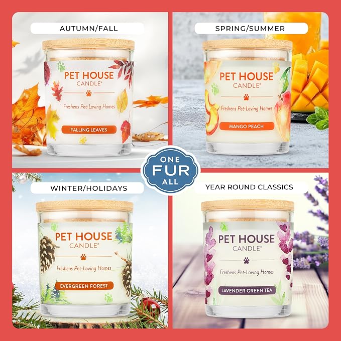 One Fur All Pet House Candle Plant-Based/Soy - Image 4