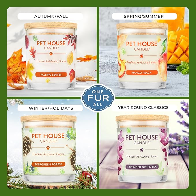 One Fur All Pet House Candle Plant-Based/Soy - Image 4
