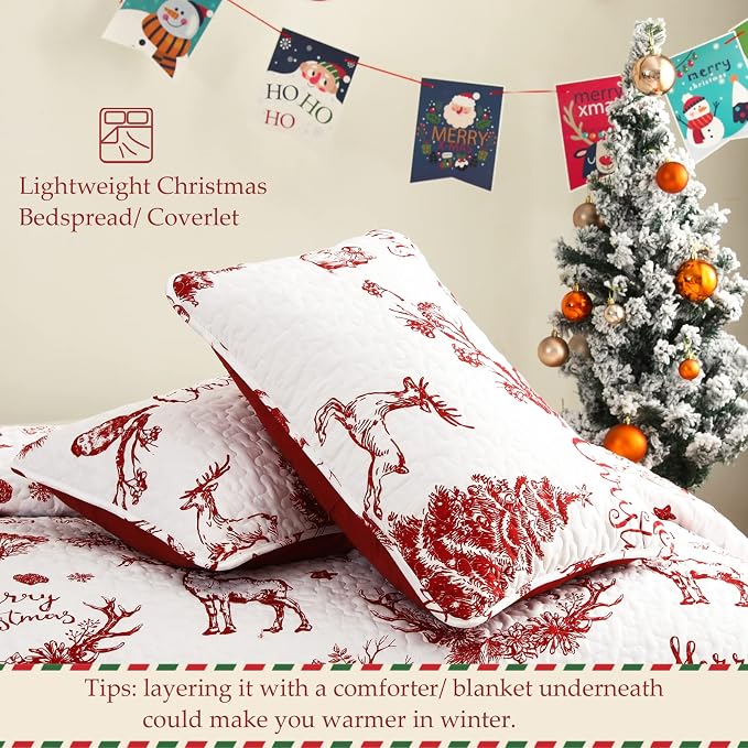 Exclusivo Mezcla Reversible Christmas Quilts Queen Size - Image 5