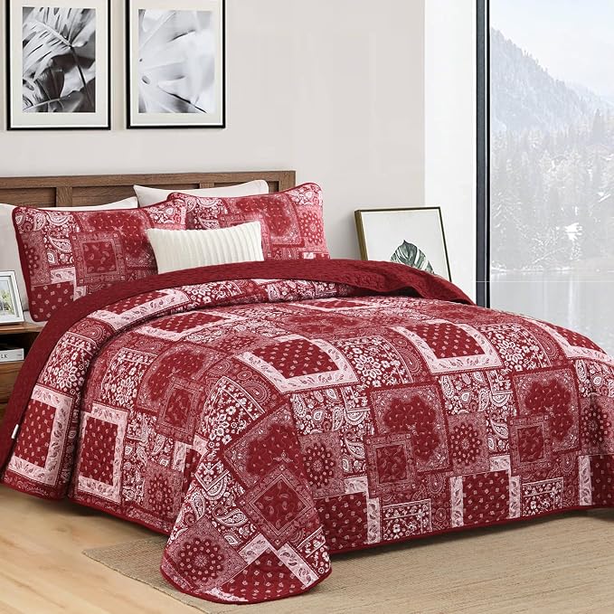 Cottolester Queen Quilt Set 3 Pieces, Soft Microfiber Boho Farmhouse Bedspread - Image 2