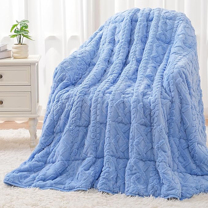 Wemore Weighted Blanket for Adults Queen Size 15 lbs, Dual Sided Soft Fuzzy by WemoreDirect