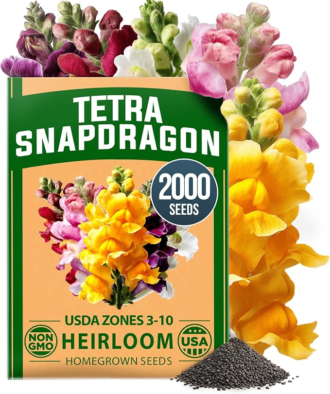 HOME GROWN Snapdragon Seeds Tetra – 2000 Tall Flower Seeds to Plant Outside by HOMEGROWN
