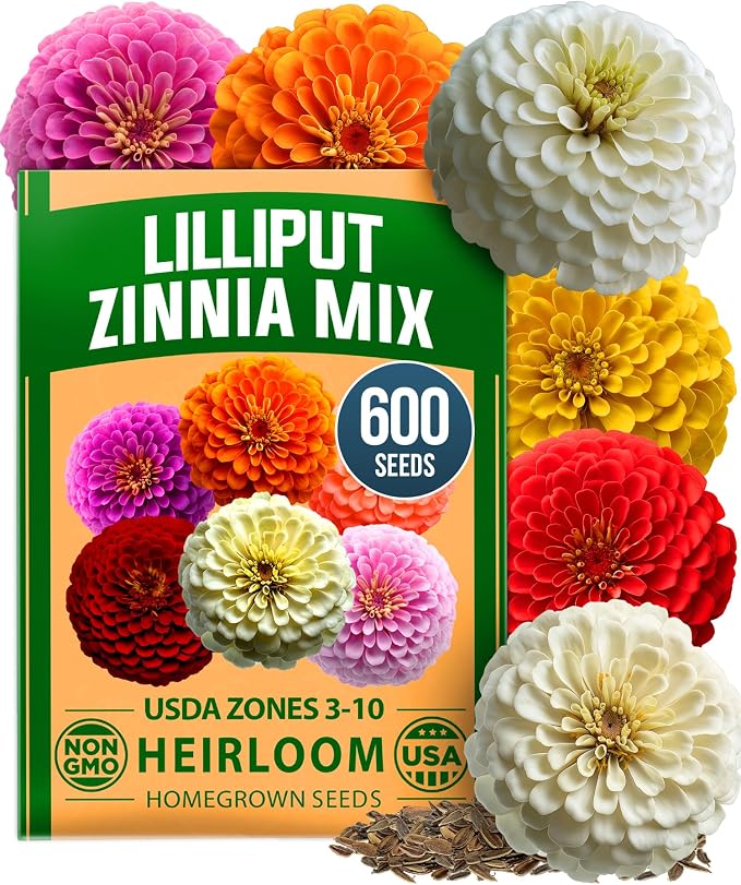 HOME GROWN Zinnia Lilliput Mix Flower Seeds – 600 Seeds Zinnia elegans – by HOMEGROWN