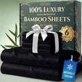 DECOLURE 100% Viscose Derived from Bamboo Sheets Queen Size by DECOLURE