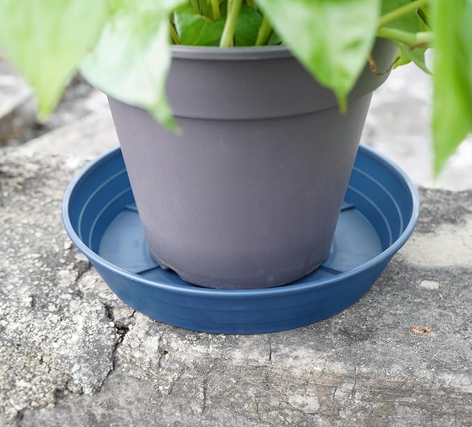 LWALRS Plant Saucer 14 Inch 2 Pack 6 8 10 12 14 16 18 20 25, Plastic Plant Trays - Image 4