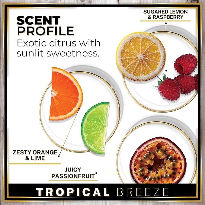 Urban Naturals Car Air Freshener Diffuser 3 Pack - Image 4