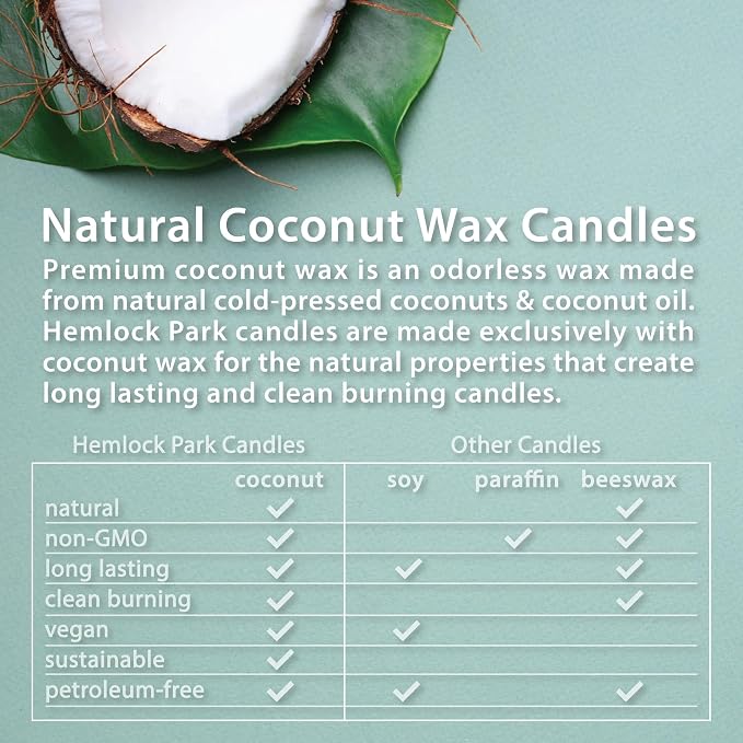 Hemlock Park Palo Santo Apothecary Hand-Poured Scented Candle | Crackling Wood - Image 5