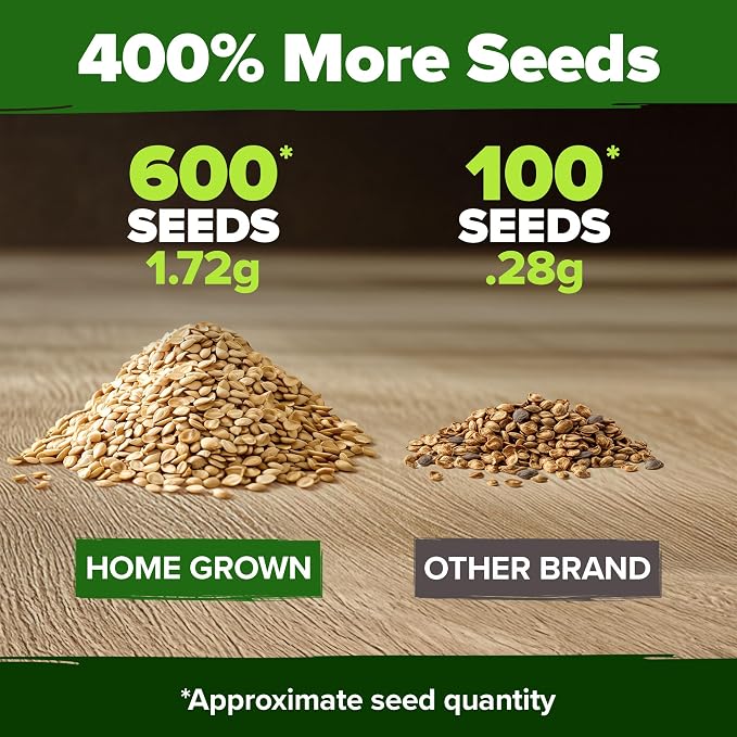 HOME GROWN Beefsteak Tomato Seeds 600+ Heirloom Non-GMO Seeds - Image 3