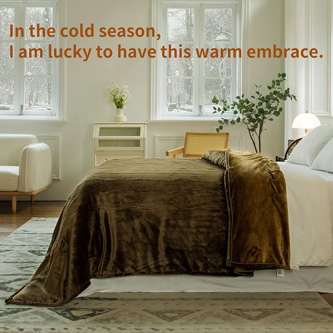 JET'S HOME Heated Blanket Queen 84"x90" - Image 6