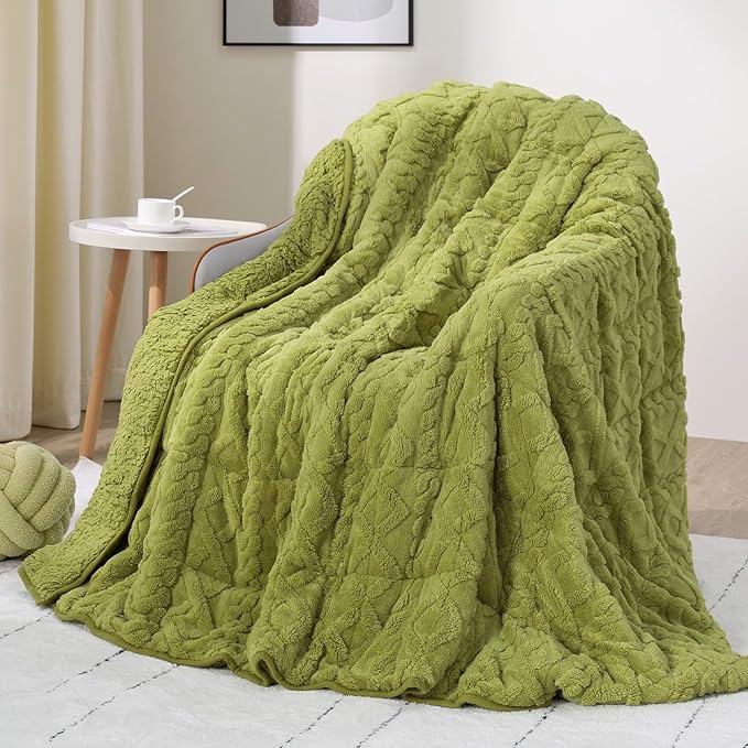 Drewin Weighted Blanket Queen Size 15 lbs, Dual Sided Soft Fuzzy Jacquard by Home
