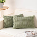 Aegero Pack of 2 Corduroy Decorative Throw Pillow Covers 12x24 Inch Soft by Unknown