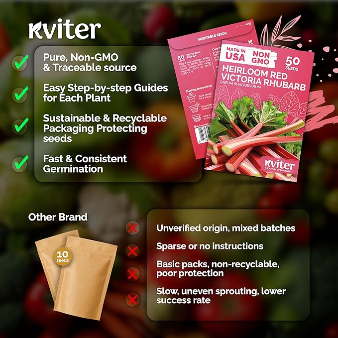 KVITER 50 Red Victoria Rhubarb Seeds - Image 5