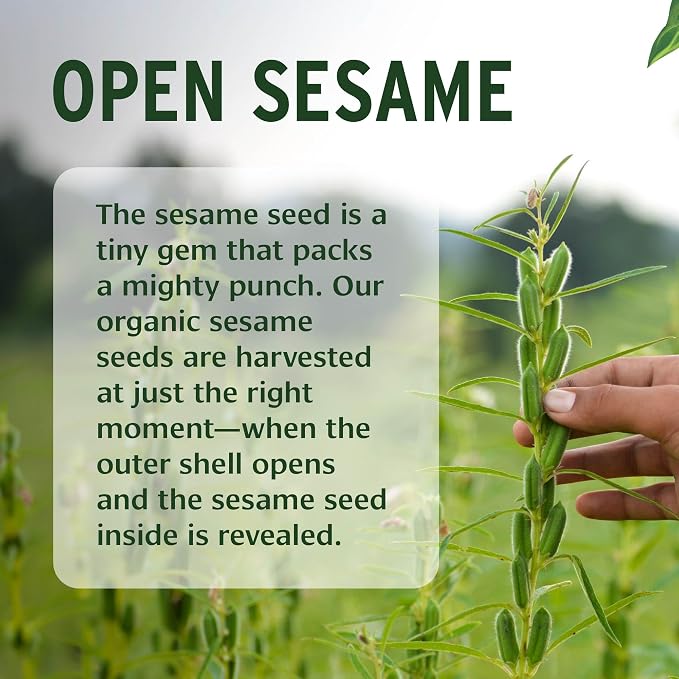 Banyan Botanicals Sesame Oil – Organic & Unrefined Sesame Oil - Image 5