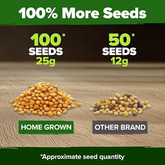 HOME GROWN Golden Bantam Sweet Corn Seeds 100+ Heirloom Non-GMO Seeds - Image 3