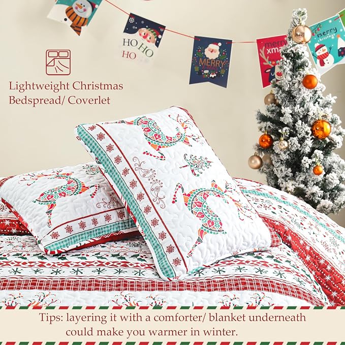 Exclusivo Mezcla Reversible Christmas Quilts Twin Size - Image 5