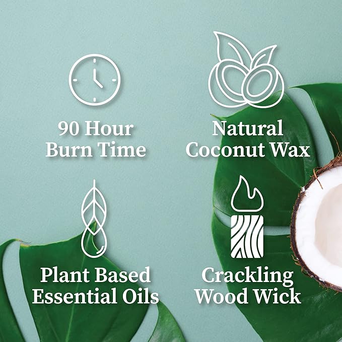 Hemlock Park Bamboo Grapefruit Apothecary Hand-Poured Scented Candle | - Image 4