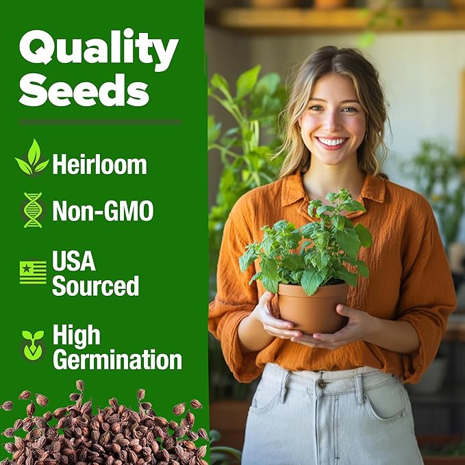 HOME GROWN Non GMO Catnip Seeds Heirloom Herb 2, 116 Seeds - Image 2