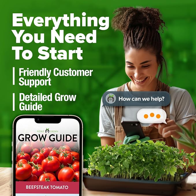 HOME GROWN Beefsteak Tomato Seeds 300+ Heirloom Non-GMO Seeds - Image 9