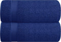 Belizzi Home Cotton 2 Pack Oversized Bath Sheet 35x70, Large Bath Sheet by Unknown