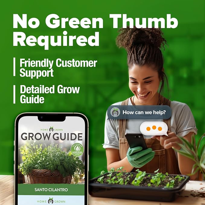 HOME GROWN Non GMO 500+ Cilantro Seeds Heirloom Coriander Seeds - Image 8