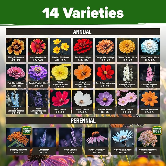 HOME GROWN Premium Monarch Butterfly Wildflower Seeds Mix - Image 2