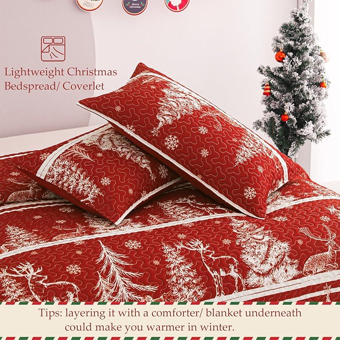 Exclusivo Mezcla Reversible Christmas Quilts King Size - Image 5