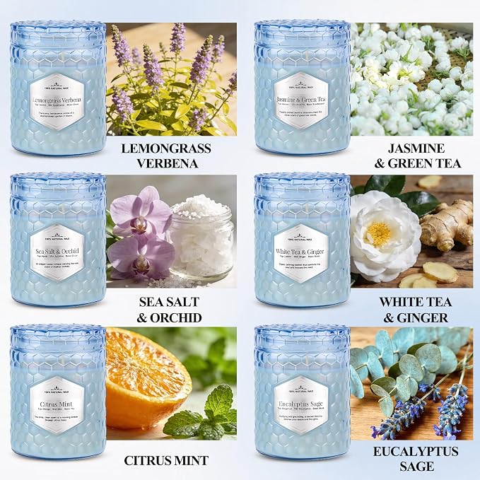 Lake Blue Candles for Home Scented, 6 Pack of 5.5 Oz Natural Soy Wax Candles in - Image 2