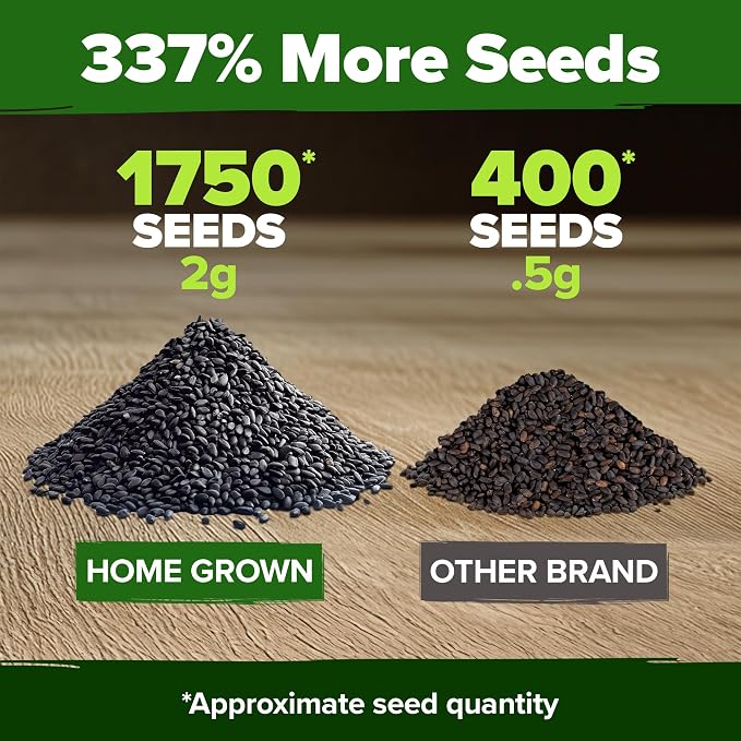 HOME GROWN Non GMO Genovese Basil Seeds Pack 1, 750+ High Germination Heirloom - Image 3