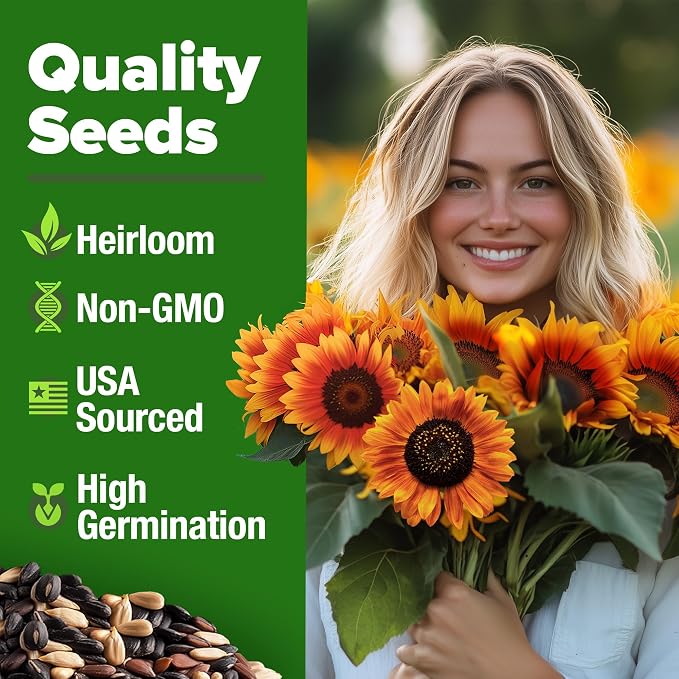 HOME GROWN Autumn Beauty Sunflower Seeds to Plant 40 Heirloom Non-GMO Sunflower - Image 2