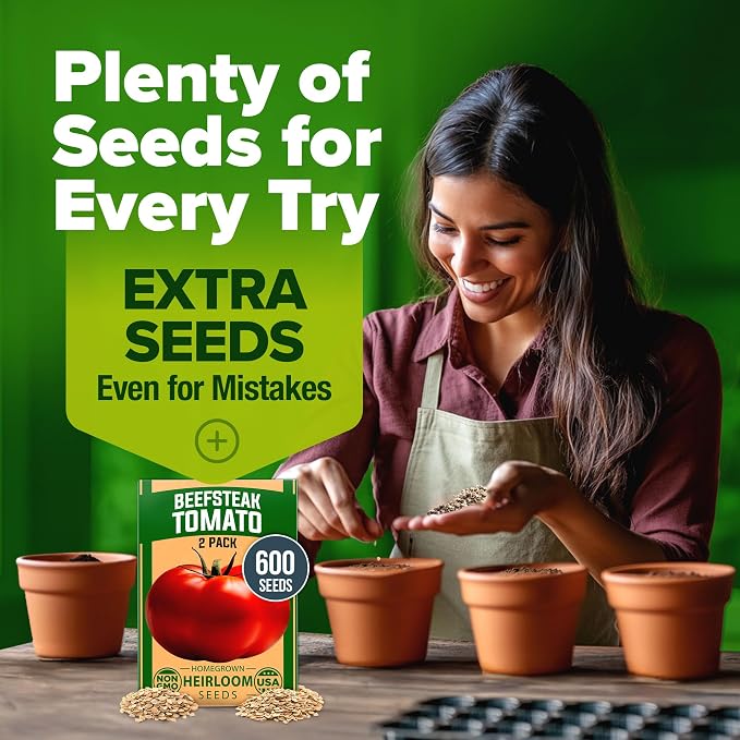 HOME GROWN Beefsteak Tomato Seeds 600+ Heirloom Non-GMO Seeds - Image 9