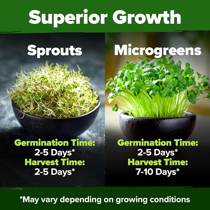 HOME GROWN Premium Sprouting Seeds Mix - Image 6