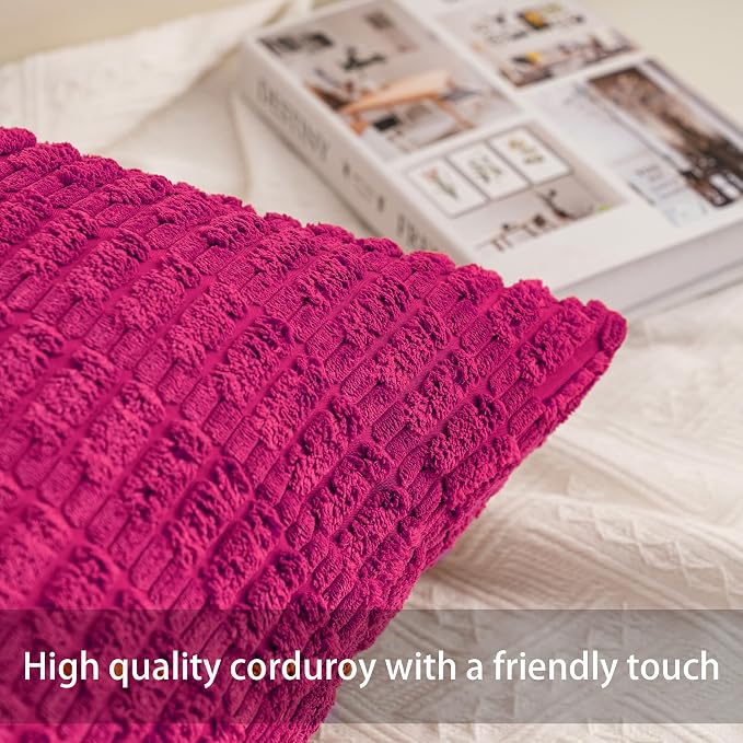 Aegero Pack of 2 Corduroy Decorative Throw Pillow Covers 20x20 Inch Soft - Image 2