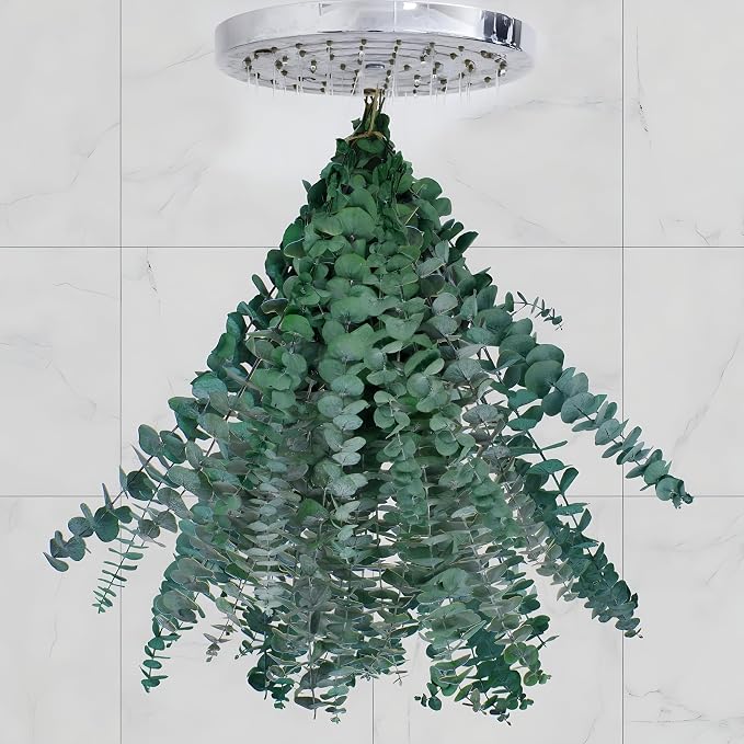 20 Pcs Dried Eucalyptus for Shower by CENELO