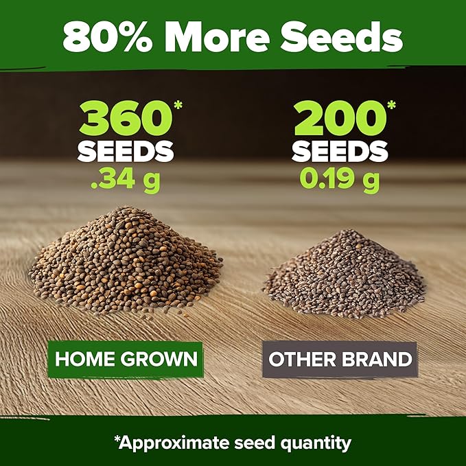 HOME GROWN Non GMO Culantro Seeds 360 Herb Seeds - Image 3