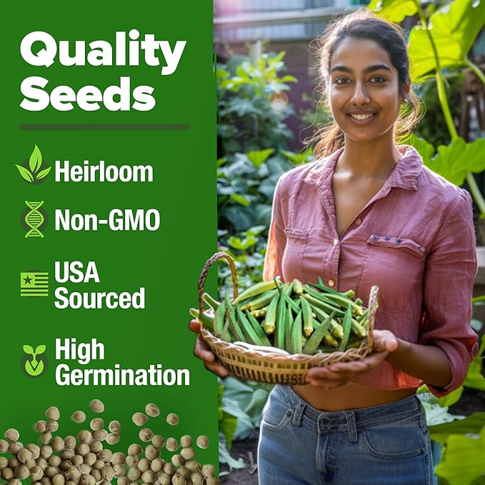 HOME GROWN Clemson Spineless Okra Seeds 202+ Heirloom Non-GMO Seeds - Image 3
