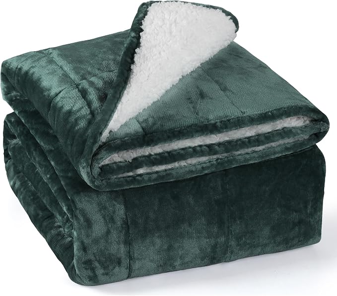 Alomidds Weighted Blanket Queen Size 15lbs 60 x 80 inches, Adult Weighted by Alomidds