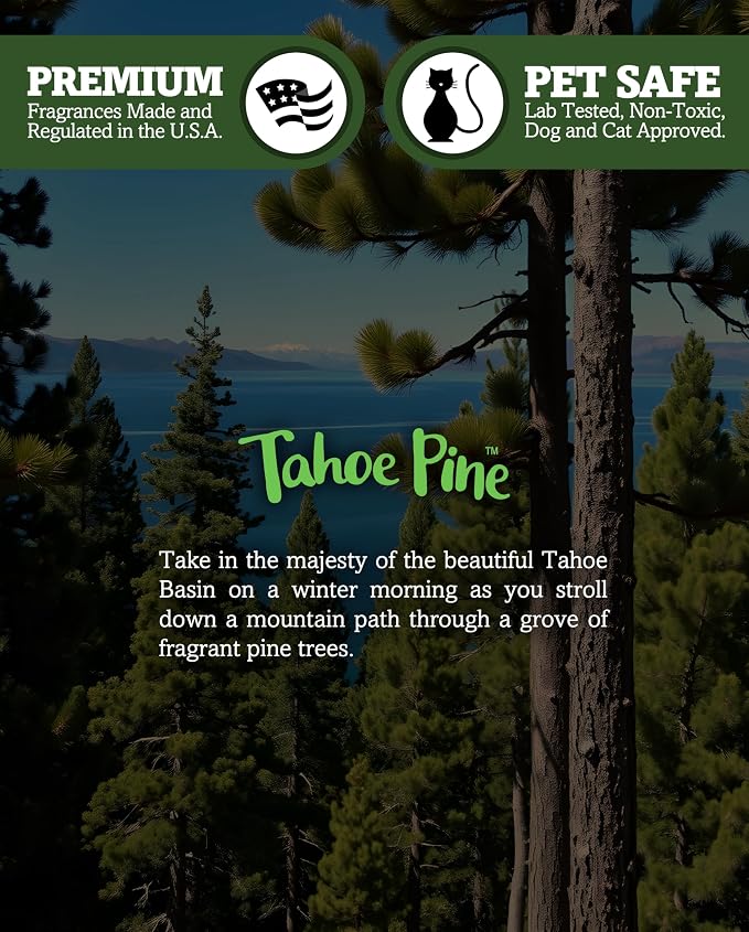 Shortie's Candle Company Tahoe Pine Premium Tealight Candles - Image 5
