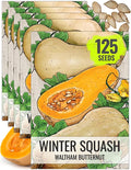 Seed Needs Waltham Butternut Squash Seeds by SeedNeeds