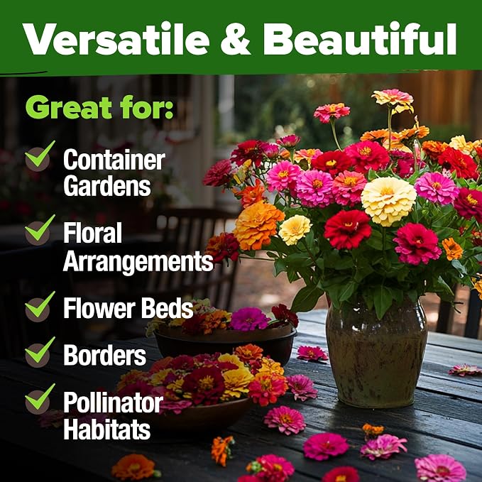 HOME GROWN Zinnia Seeds for 2026 - Image 7