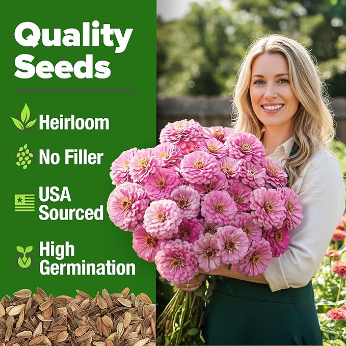 HOME GROWN Pink Zinnia Seeds – 1500 Luminosa Zinnias, Fast Blooming, Heat - Image 2