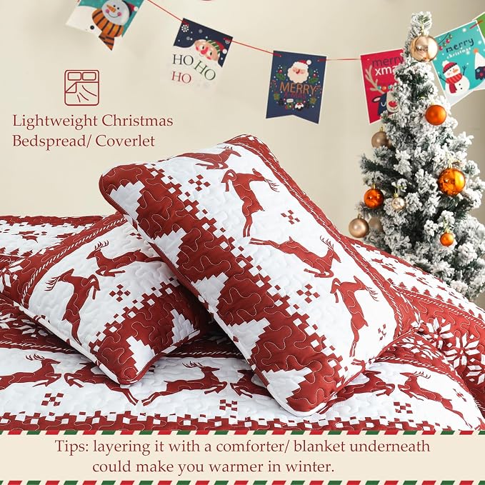 Exclusivo Mezcla Reversible Christmas Quilts Twin Size - Image 5
