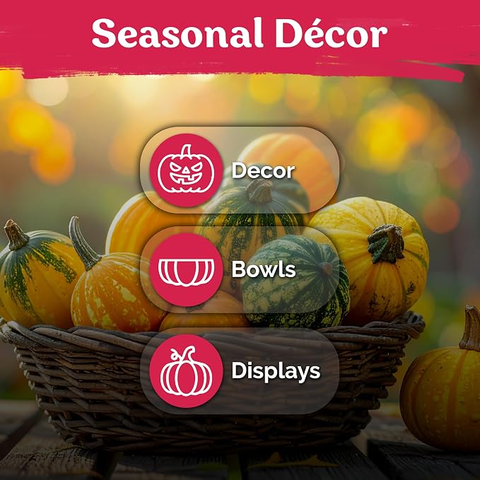 KVITER 50 Small Gourd Seeds Mix – Ornamental Fall Decor Gourds, Non GMO & - Image 6