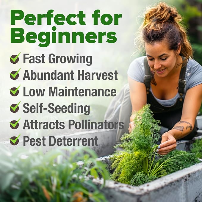 HOME GROWN Dill Seeds 2 Pack - Image 4